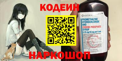 шишки Шелехов