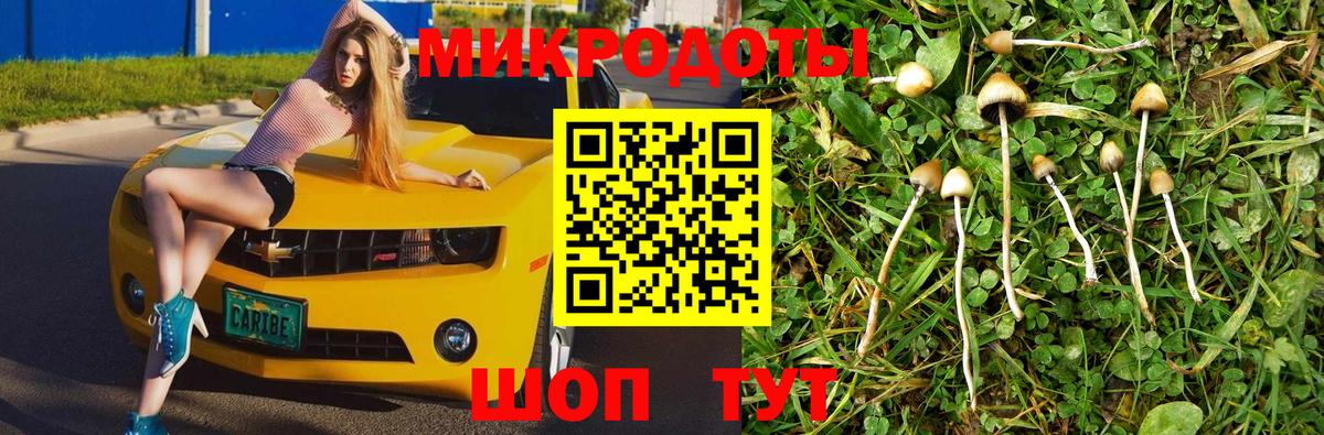 Балашиха  Псилоцибиновые грибы Psilocybine cubensis  Вход с VPN  Псилоцибиновые грибы Cubensis 