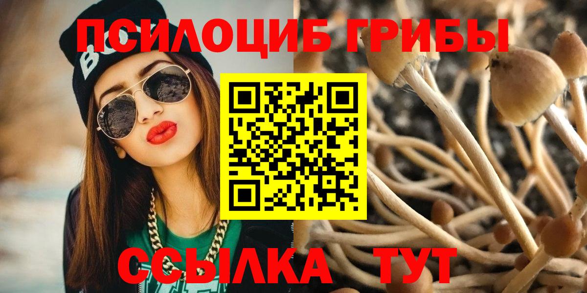 Галлюциногенные грибы Psilocybine cubensis Балашиха